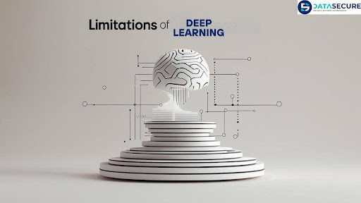 Limitations of Deep Learning
